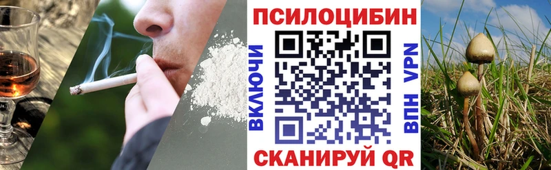 Псилоцибиновые грибы прущие грибы  Купить где  Обнинск 
